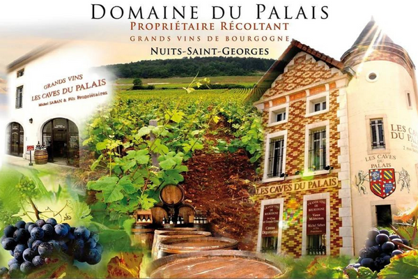 Domaine du palais Avant