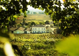Bordeaux Vineam Vignobles - chateaux